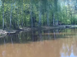 Лосиный остров (Клевое место) Лосиный остров (Клевое место)